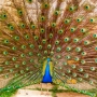 A Martin Fotografos